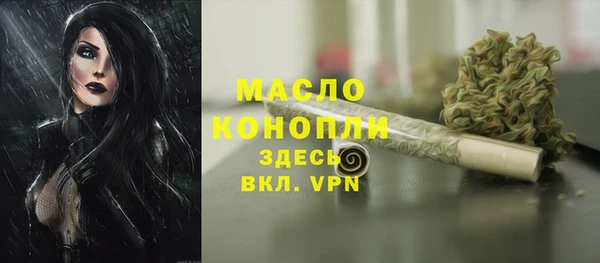 крисы Переславль-Залесский