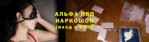 стаф Арсеньев