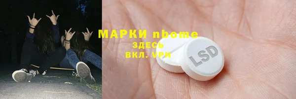 стаф Арсеньев