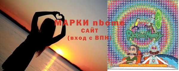 стаф Арсеньев
