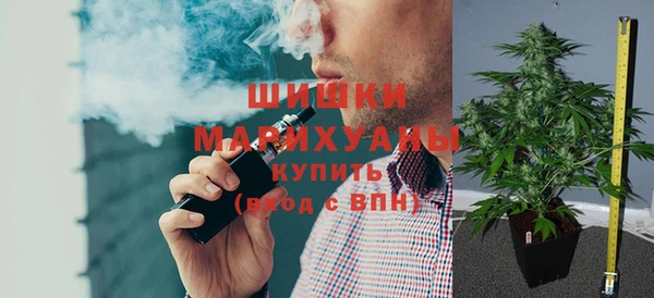 стаф Арсеньев