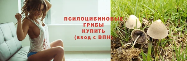 мескалин Аркадак
